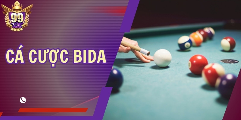 Cá Cược Bida Ở Đâu Uy Tín? Những Điều Hay Bạn Cần Biết