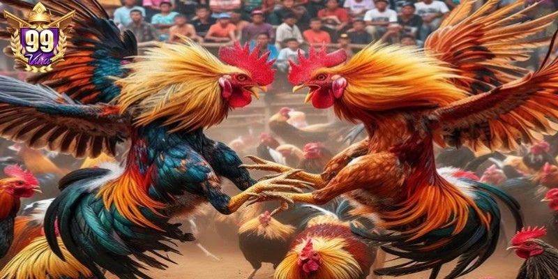 Giữ vững giới hạn vốn để tham gia lâu dài Giữ vững giới hạn vốn để tham gia lâu dài